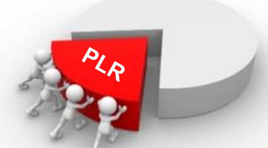 PLR 2